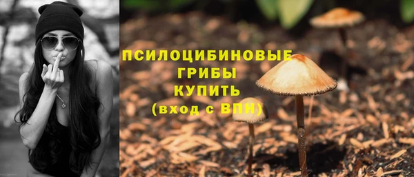 индика Богданович