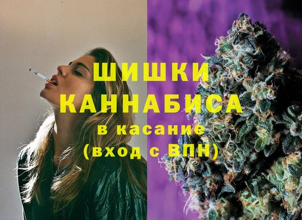 индика Богданович