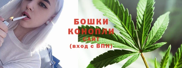 индика Богданович