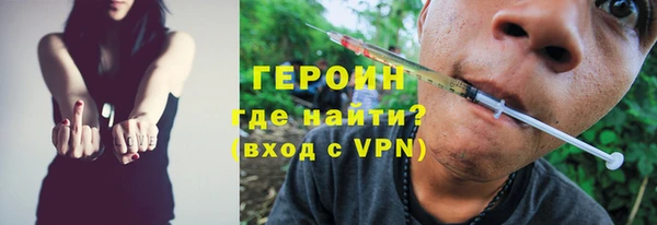 индика Богданович