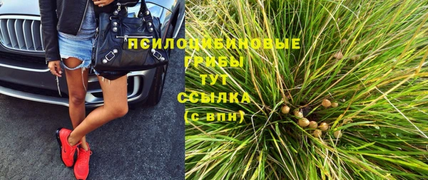 a pvp Богородицк