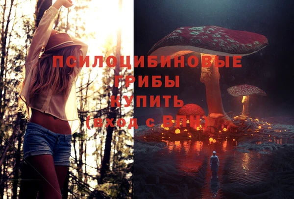Альфа ПВП Балабаново